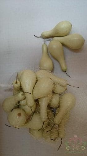 Kalebasjes kunst Creme flesjes ca. 5 cm 20–25 stuks, Ophalen of Verzenden, Nieuw
