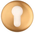 Cilinderplaatje NOUR EVBY52 PVD mat goud, Verzenden, Nieuw