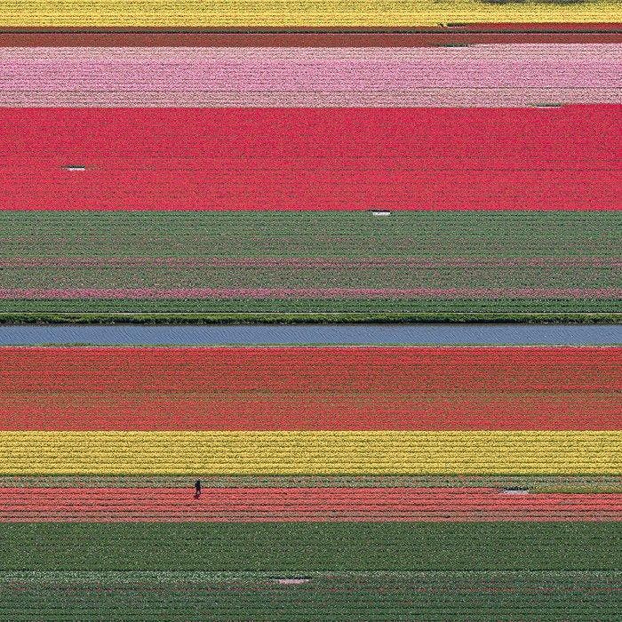 Bernhard Lang - AV_Tulip_Fields_036, Antiek en Kunst, Kunst | Designobjecten