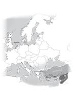 Naar de grens / 1 / Troef-reeks 9789492333230, Verzenden, Gelezen, Olga Maria Berger