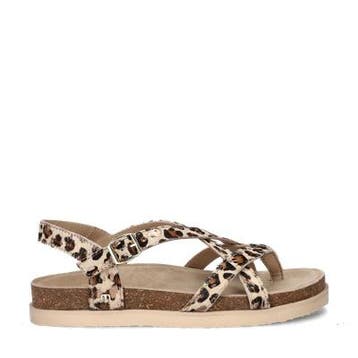 Maruti Fae sandalen voor dames in het Bruin, Bruin, Verzenden, Nieuw, Sandalen of Muiltjes
