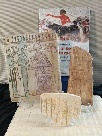 replica Gesso di Bologna Kopieën van parietale fragmenten -, Verzamelen