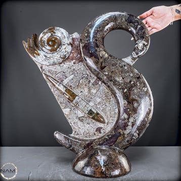 Krinoïden fossielen sculptuur – met de hand vervaardigd