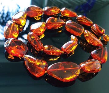 Amber Unieke zeldzame natuurlijke Baltische