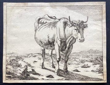 Marcus Gheeraerts (1516/21-1519) & Paulus Pietersz. Potter, Antiek en Kunst
