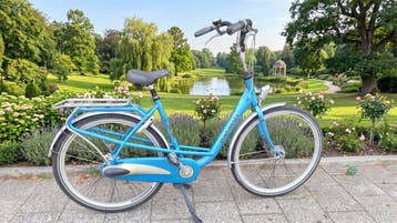 Batavus Blom D Nexus 3 Hamdrem Blauw Dames, Ophalen, Gebruikt, Batavus