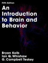 An Introduction to Brain and Behavior 9781319154073, Verzenden, Zo goed als nieuw
