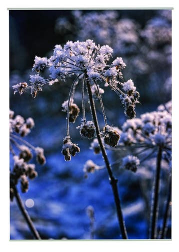 Snow Outdoor TextielPoster fotoprint 95x130cm, Tuin en Terras, Verzenden, Nieuw