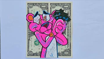 Andreea Paduraru - Pink Panther - Love and Success