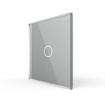 Livolo | Grijs | 1 | Afstandsbediening | EC | Smart Home, Ophalen of Verzenden, Nieuw
