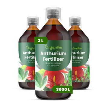 Anthurium Vloeibare Meststof - 3x1 Liter, Verzenden, Mest
