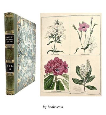 Maund - The Botanic Garden Vol. XI - 1845