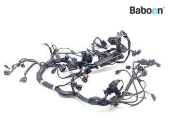 Kabelboom Triumph Tiger 1200 Explorer XCX 2016-2017, Verzenden, Gebruikt