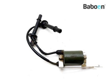 Bobine Honda CB 600 F Hornet 2007-2013 (CB600F PC41), Verzenden, Gebruikt