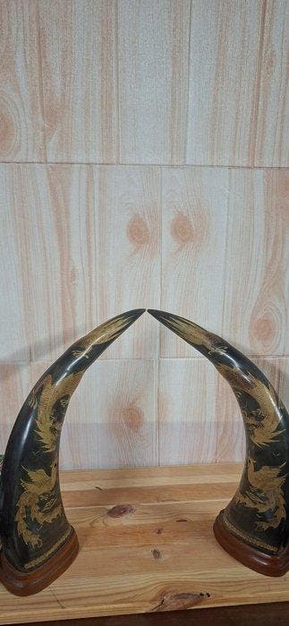 Waterbuffel Hoorns - Desconocido - 42 cm - 6 cm - 6 cm