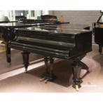 C. Bechstein Vleugels, Nieuw