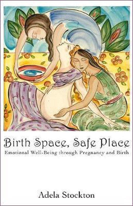 Birth Space, Safe Place 9781844091652 Adela Stockton, Boeken, Taal | Engels, Zo goed als nieuw, Verzenden