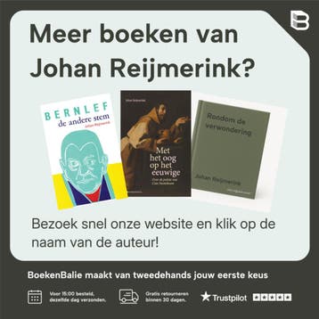 Er steeg licht op van beneden 9789461531070 Johan Reijmerink, Boeken, Verzenden, Zo goed als nieuw, Johan Reijmerink