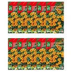 Bloemzaden Suzanne met de mooie ogen | VT | 10 stuks, Tuin en Terras, Bloembollen en Zaden, Verzenden