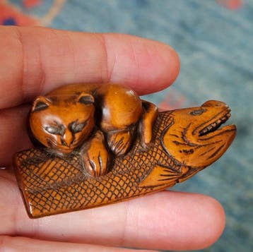 BOXWOOD KAT DIE ZICH TEGOED DOET AAN EEN ZALM - Hout,
