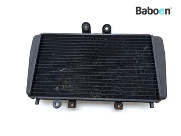Radiateur Triumph Speed Triple 955 1999-2001 (VIN: <141871), Verzenden, Gebruikt