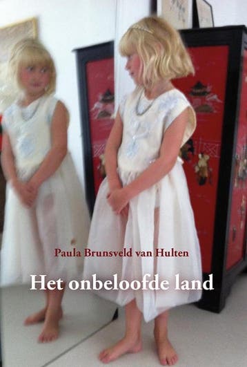 Het onbeloofde land - Paula Brunsveld van Hulten, Verzenden, Zo goed als nieuw, Paula Brunsveld van Hulten