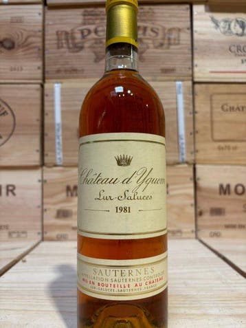 1981 Château d’Yquem - Sauternes 1er Cru Supérieur - 1 Fles, Nieuw