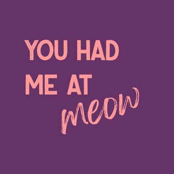 Homebound Tegeltje you had me at meow, Ophalen of Verzenden