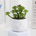 Mini Kunst Succulent Bonsai – Decoratieve Vetplant, Verzenden, Nieuw