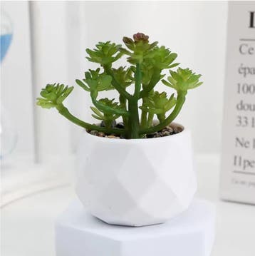 Mini Kunst Succulent Bonsai – Decoratieve Vetplant, Verzenden, Nieuw