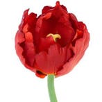 Tulp deluxe rood 25 cm Kunstbloemen - Overige kunstbloemen, Huis en Inrichting, Kamerplanten, Ophalen of Verzenden