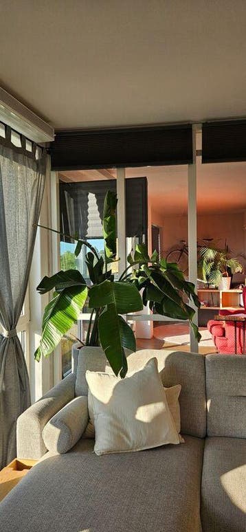 Te huur: Appartement Azurietkade in Leiden, Leiden, Appartement, Zuid-Holland