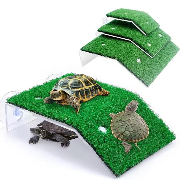 Schildpad Basking Platform met Ramp – Terrarium Zonneplek, Dieren en Toebehoren, Reptielen en Amfibieën