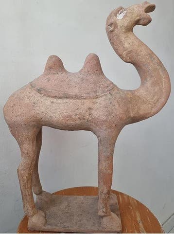 Oud Chinees, Tang-dynastie Terracotta Kameel met TL-test. -