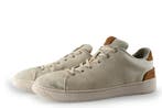 Toms Sneakers in maat 45 Beige, Overige kleuren, Verzenden, Toms, Sneakers of Gympen