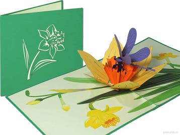Prachtige narcis met libelle pop-up kaart | Narcissus wen..., Verzenden, Nieuw