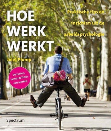 9789000338290 Hoe werk werkt | Tweedehands, Verzenden, Zo goed als nieuw, Jolet Plomp