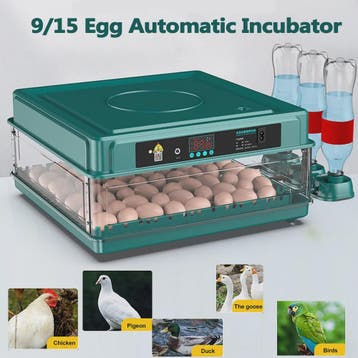 Automatische Broedmachine voor Kippen, Ganzen, Vogels & Kwar, Verzenden, Nieuw