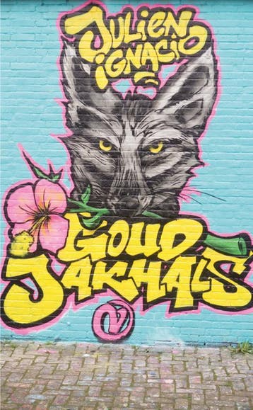 Goudjakhals - Julien Ignacio 9789028232037, Verzenden, Gelezen, Julien Ignacio