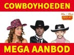 Talloze Cowgirl hoeden - Cowgirl hoed & kleding, Ophalen of Verzenden, Nieuw, Carnaval, Accessoires