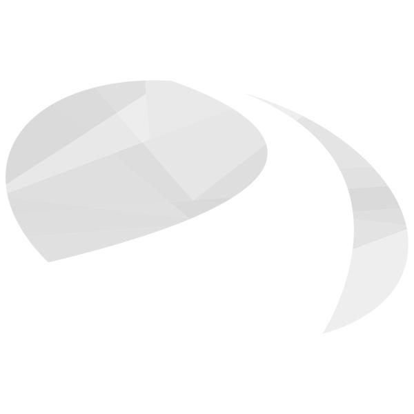 Remsysteem TRACK 4.0 - Antraciet (Links + Rechts), Diversen, Rollators, Nieuw, Ophalen of Verzenden