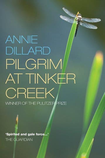 9781848250789 Pilgrim At Tinker Creek | Tweedehands, Verzenden, Zo goed als nieuw, Annie Dillard