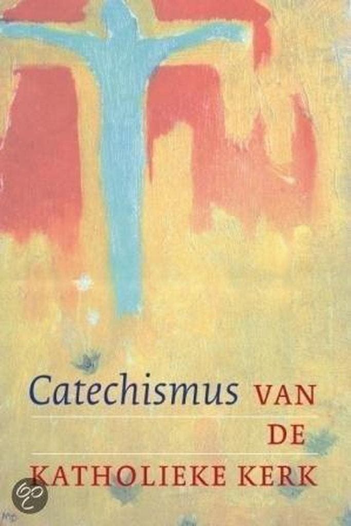 Catechismus van de Katholieke Kerk 9789068587753, Boeken, Godsdienst en Theologie, Gelezen, Verzenden