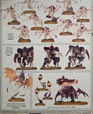 Combat Patrol Tyranids - Tyranid Assault Brood (Warhammer, Hobby en Vrije tijd, Ophalen of Verzenden, Nieuw