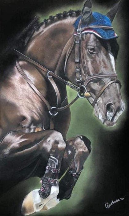 Colalongo Barbara - Cavallo da salto, Antiek en Kunst, Kunst | Designobjecten