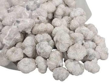 Beachfruit paras peepal mini pompoentjes white wash ca. 500, Ophalen of Verzenden, Nieuw