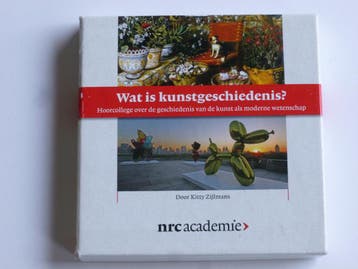 Wat is Kunstgeschiedenis? Kitty Zijlmans (4 CD) hoorcollege, Ophalen of Verzenden, Zo goed als nieuw