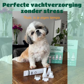 Mister Mill Mini Tondeuse 4 in 1 - Elektrische Nagelvijl, Caravans en Kamperen, Tenten, Ophalen of Verzenden, Zo goed als nieuw