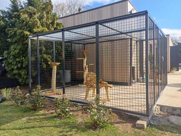 Maatwerk kattenren in uw tuin of op uw balkon? Wij helpen u!, Dieren en Toebehoren, Nieuw