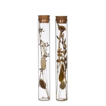 Reageerbuisjes glas met kurk 20 cm Ø3 cm doos 6 stuks, Ophalen of Verzenden, Nieuw